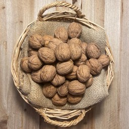 Nueces Ibéricas Ecológicas - Frutos Secos -1- Lo mejor de la fruta