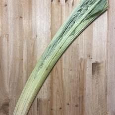 Cardo Fresco - Verduras -1- Lo mejor de la fruta