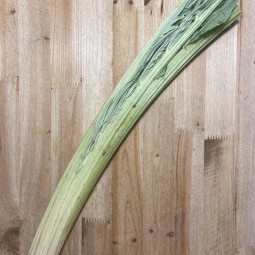 Cardo Tierno - Verduras -1- Lo mejor de la fruta