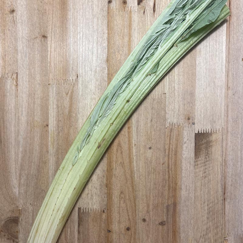 Cardo Fresco - Verduras -1- Lo mejor de la fruta