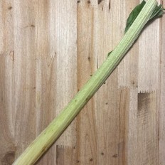 Cardo Fresco - Verduras -2- Lo mejor de la fruta