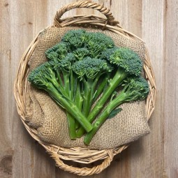 Bimi - Verduras -1- Lo mejor de la fruta