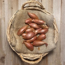 Echalotes - - Patatas, Cebollas y Ajos -1- Lo mejor de la fruta