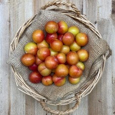 Ciruelas Mayeras - Fruta de Temporada -1- Lo mejor de la fruta