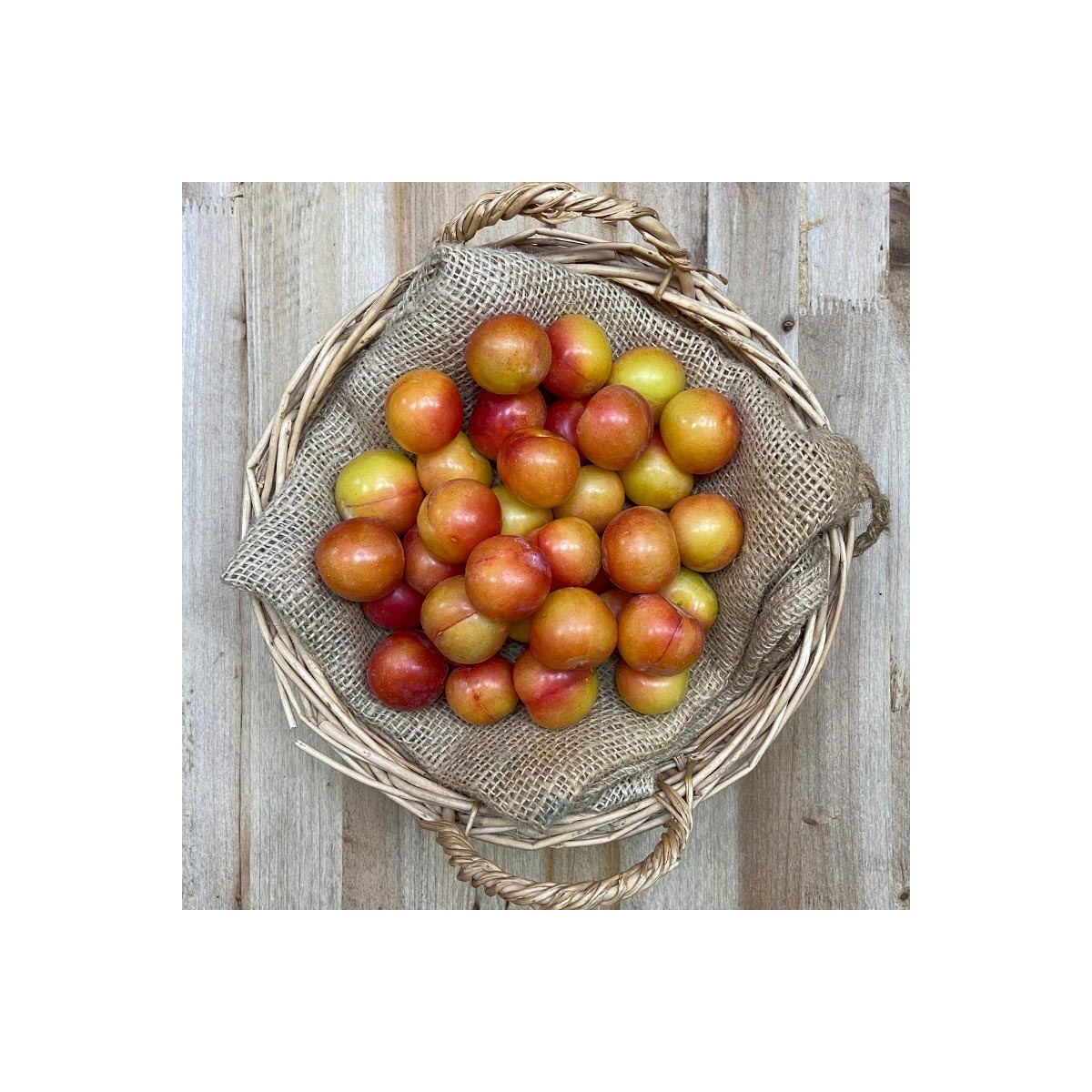 Ciruelas Mayeras - Fruta de Temporada -1- Lo mejor de la fruta