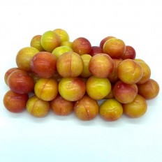Ciruelas Mayeras - Fruta de Temporada -2- Lo mejor de la fruta