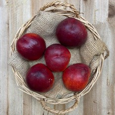 Nectarinas - Fruta de Temporada -1- Lo mejor de la fruta