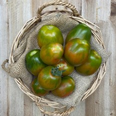 Tomates de Pera Ensalada - Selección de Tomates -1- Lo mejor de la fruta