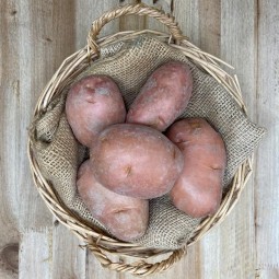 Patatas Rojas - Patatas, Cebollas y Ajos -1- Lo mejor de la fruta