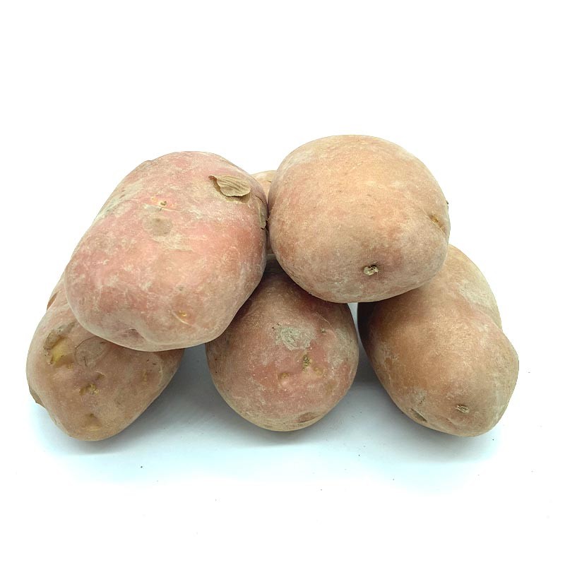 Patatas Rojas Del Terreno - - Patatas, Cebollas y Ajos -2- Lo mejor de la fruta
