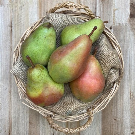 Pera alejandrina - Manzanas, Peras y Plátanos -1- Lo mejor de la fruta