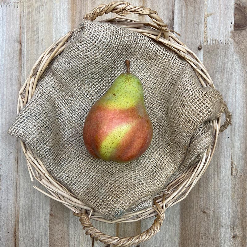 Peras Alejandrinas - Manzanas, Peras y Plátanos. -2- Lo mejor de la fruta