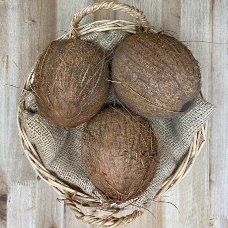 Cocos frescos - - Tropicales -1- Lo mejor de la fruta