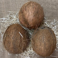 Cocos frescos - - Tropicales -2- Lo mejor de la fruta