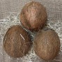 Cocos frescos - - Tropicales -2- Lo mejor de la fruta