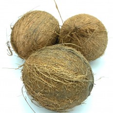 Cocos frescos - Tropicales -3- Lo mejor de la fruta