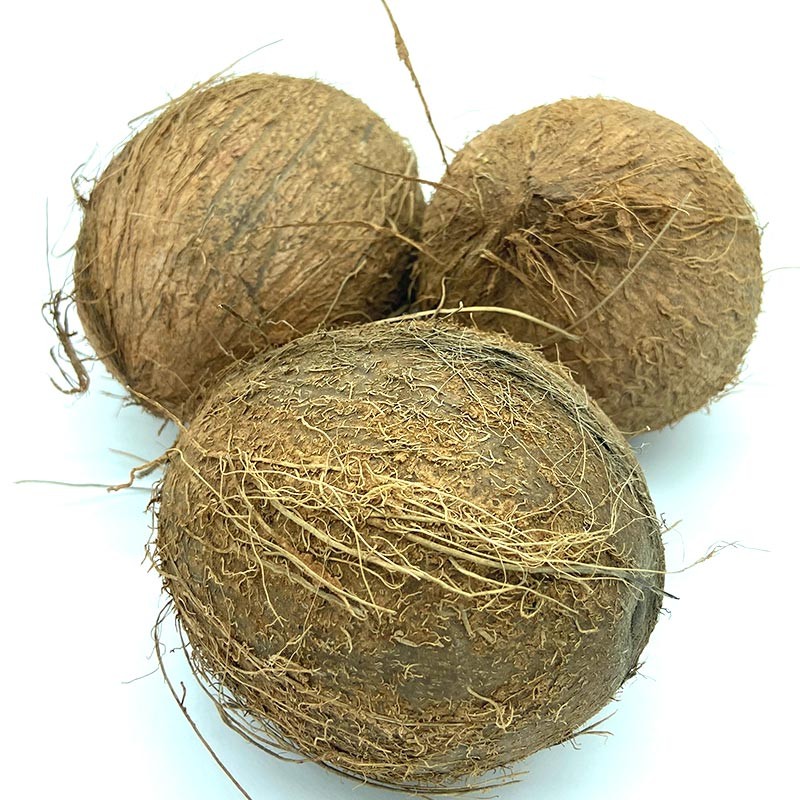 Cocos frescos - Tropicales -3- Lo mejor de la fruta