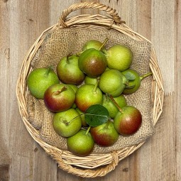 Peretas de bocado - Fruta de Temporada -1- Lo mejor de la fruta
