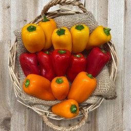 Pimientos Baby Tricolor - Verduras -1- Lo mejor de la fruta