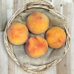 Melocotón - Fruta de Temporada -1- Lo mejor de la fruta