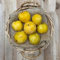 Ciruelas Amarillas - Fruta de Temporada -1- Lo mejor de la fruta