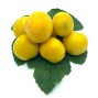 Ciruelas Amarillas - Tropicales -2- Lo mejor de la fruta