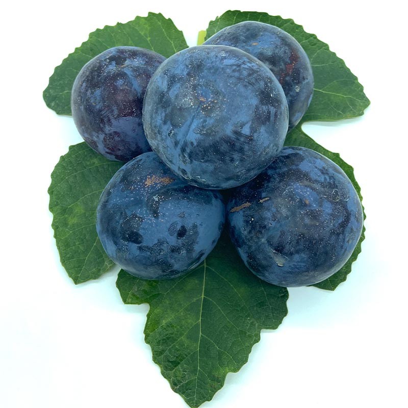 Ciruelas Negras - Fruta de Temporada -2- Lo mejor de la fruta