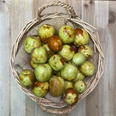 Jínjoles - Fruta de Temporada -1- Lo mejor de la fruta