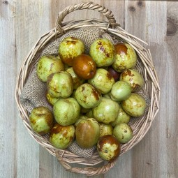 Jínjoles - Fruta de Temporada -1- Lo mejor de la fruta