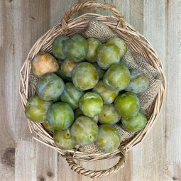 Ciruelas Claudias - Fruta de Temporada -1- Lo mejor de la fruta