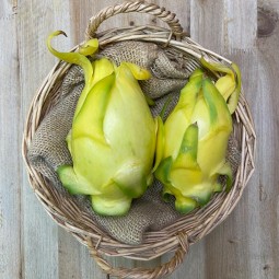 Pitahaya Amarilla - Fruta de Temporada -1- Lo mejor de la fruta