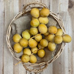 Dátiles Amarillos - Tropicales -1- Lo mejor de la fruta