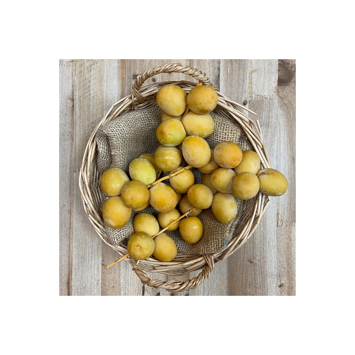 Dátiles Amarillos - Tropicales -1- Lo mejor de la fruta