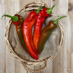 Pimientos Italianos Rojos - Verduras -1- Lo mejor de la fruta