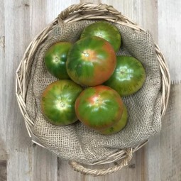 Tomates Muchamiel Mazarrón - Selección de Tomates -1- Lo mejor de la fruta