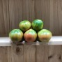 Tomates Muchamiel Mazarrón - Selección de Tomates -2- Lo mejor de la fruta