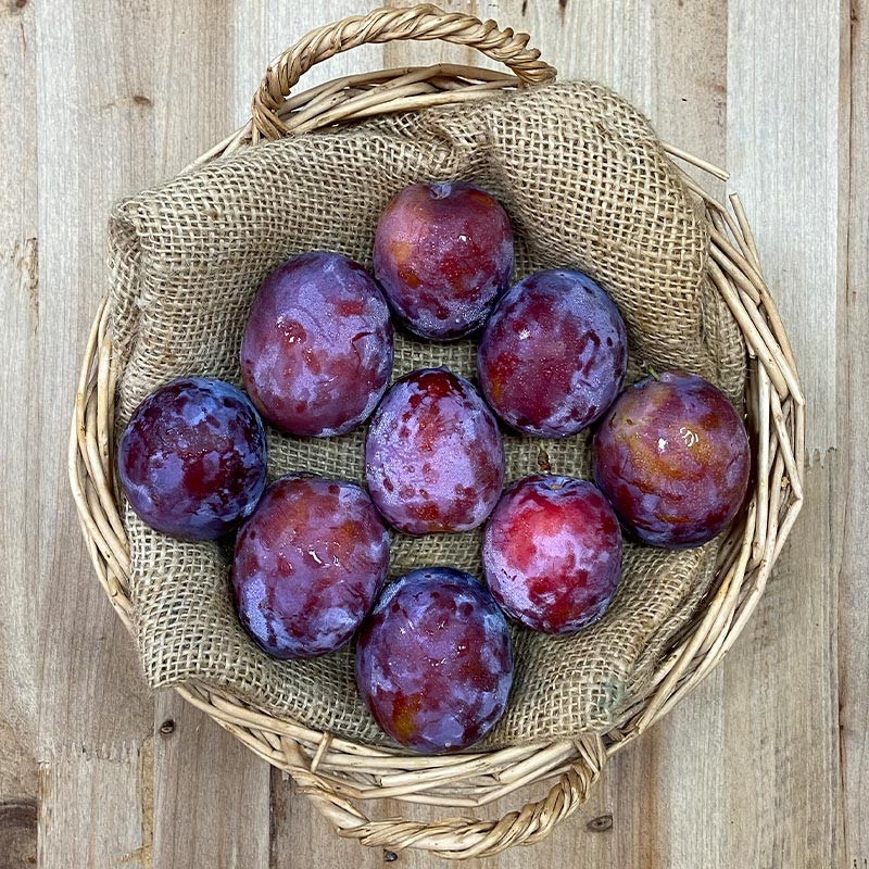 Ciruelas President - Fruta de Temporada -1- Lo mejor de la fruta