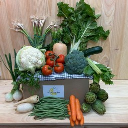 Pack Verdura - Packs Frutas y Verduras -1- Lo mejor de la fruta