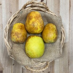 Peros - - Manzanas, peras y Plátanos. -1- Lo mejor de la fruta