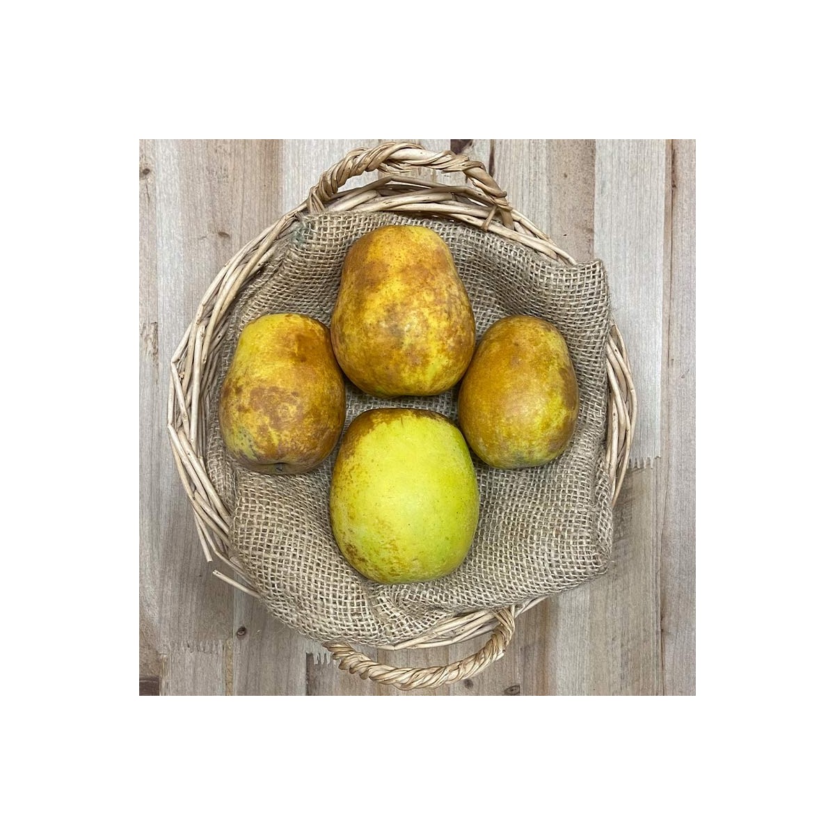 Peros - Manzanas, Peras y Plátanos. -1- Lo mejor de la fruta