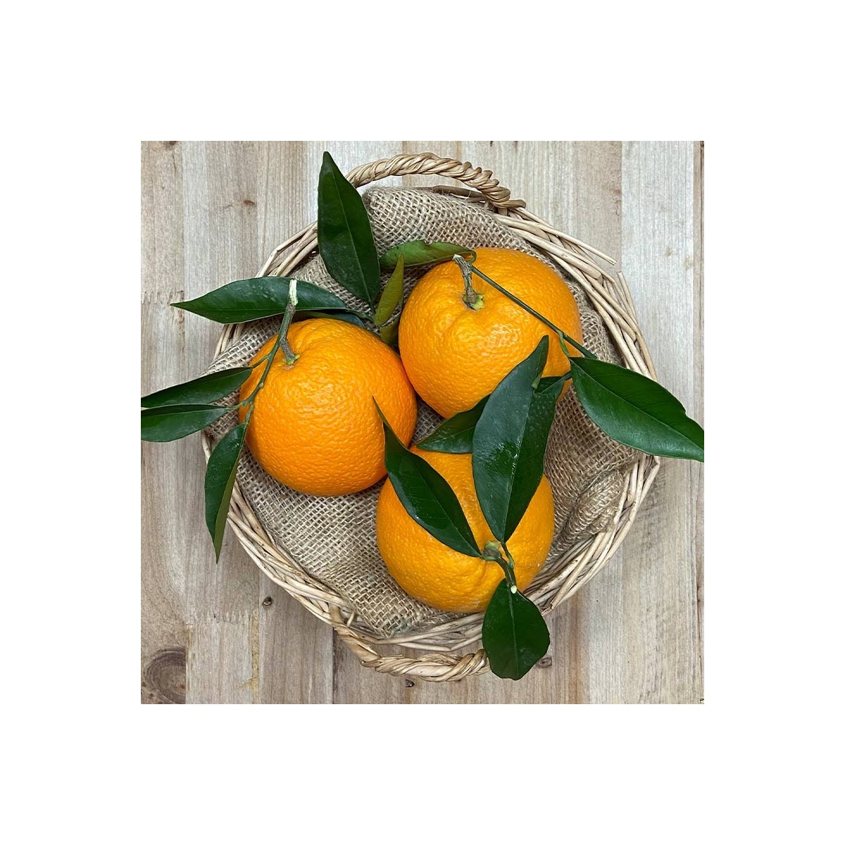 Naranja Mesa - Naranjas, Limones y Otros Cítricos -1- Lo mejor de la fruta