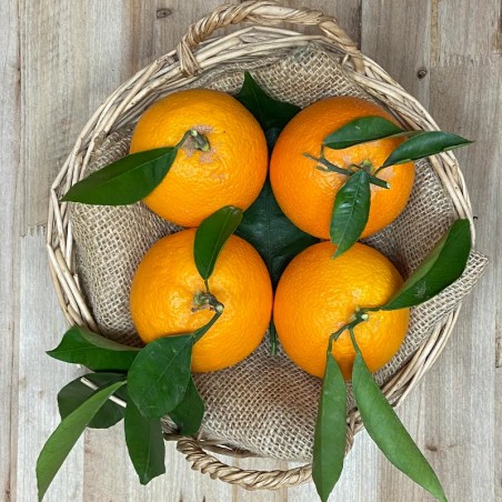 Naranjas de Zumo - - Todas las Frutas -1- Lo mejor de la fruta