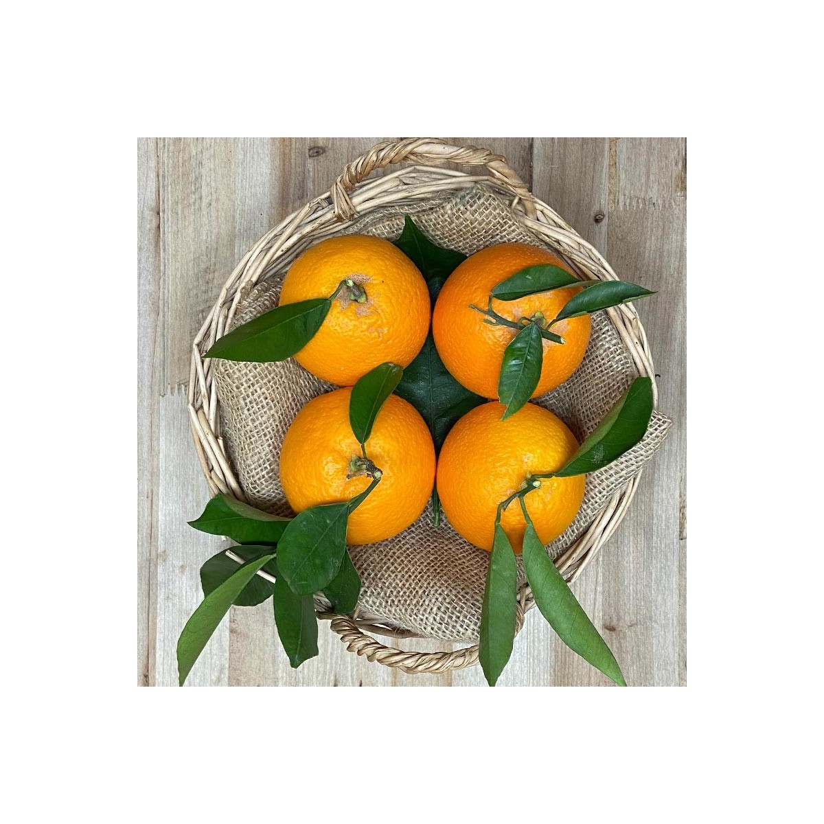 Naranjas de Zumo - - Cítricos -1- Lo mejor de la fruta