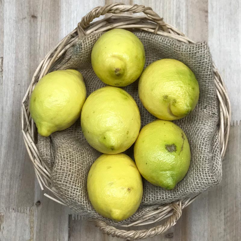 Limón - Naranjas, Limones y Otros Cítricos -1- Lo mejor de la fruta