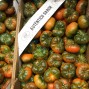 Tomate Raf - Selección de tomates -4- Lo mejor de la fruta