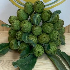Alcachofas - Verduras -2- Lo mejor de la fruta
