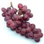 Uva Red Globe - Todas las Frutas -2- Lo mejor de la fruta