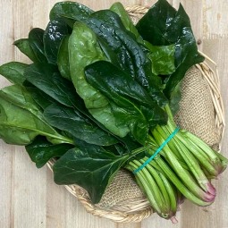 Espinacas Frescas - Verduras -1- Lo mejor de la fruta