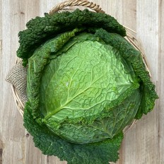 Col Rizada - - Verduras -1- Lo mejor de la fruta - Comprar online