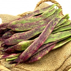 Judías Rojas - Verduras -3- Lo mejor de la fruta